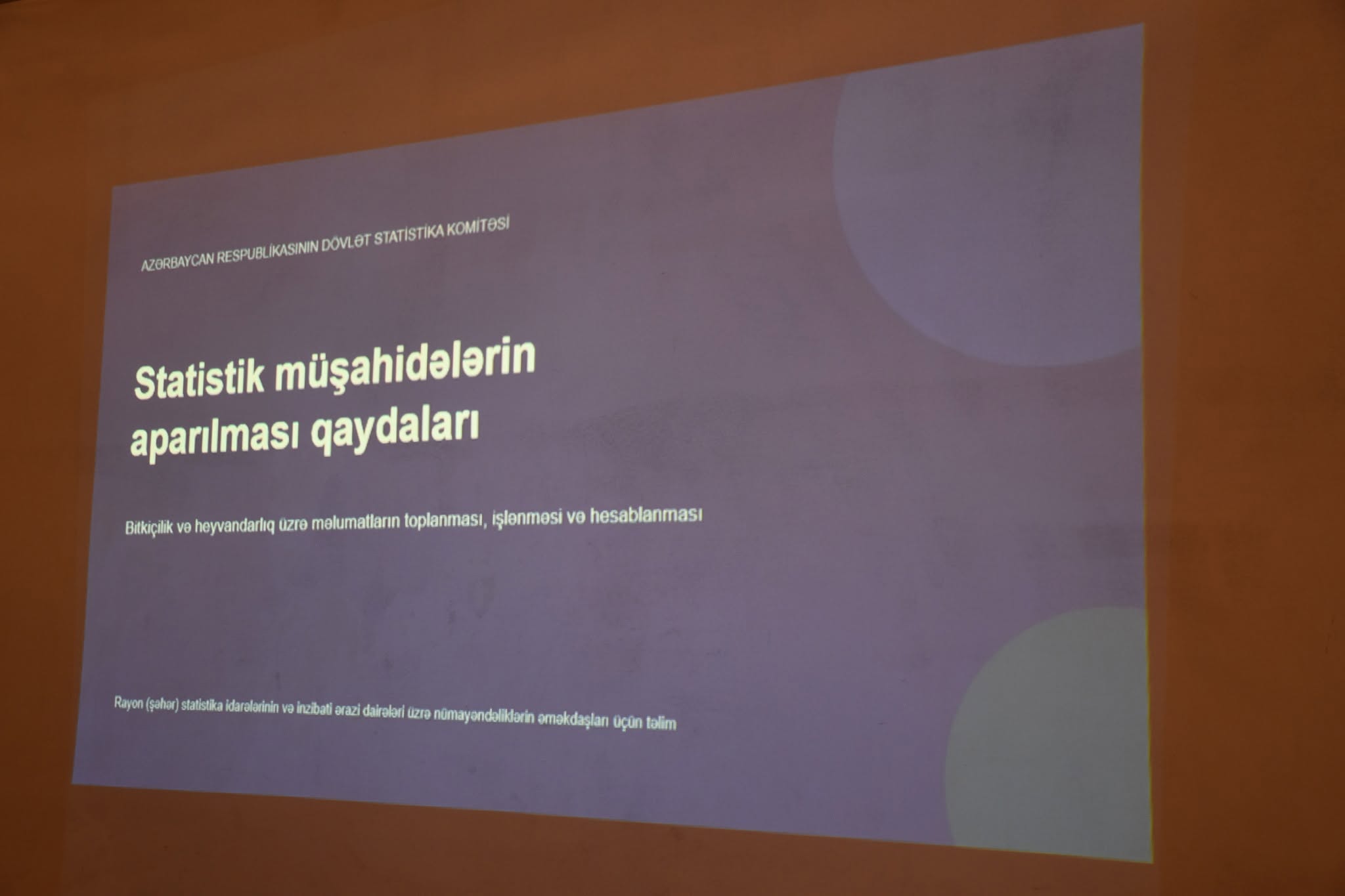 841229432_1448221314159747_2104388657773179008_n (1).jpg