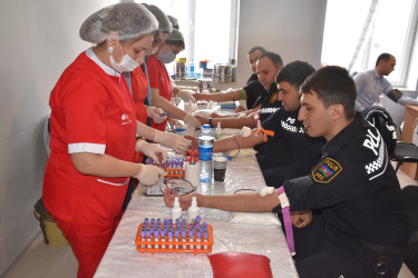 İmişlidə 16.01.2026-cı il tarixdə qanvermə aksiyası keçirilib