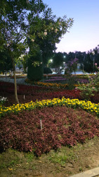 İmişli nümayəndə heyəti Özbəkistanda rəsmi səfərdə olub