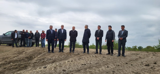 Kür çayında suyun qalxması İmişlinin bəzi kəndlərində əkin sahələrinə təsir göstərib