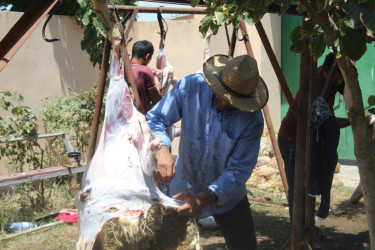 İmişlidə Qurban bayramı münasibəti ilə bayram sovqatları paylanılıb