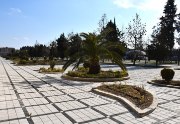 Heydər Əliyev adına istirahət parkında əsaslı təmir-bərpa işləri davam etdirilir