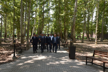 İmişlidə “Memarlıq və Şəhərsalma İli” çərçivəsində 08.07.2026-cı il tarixdə tədbir keçirilib