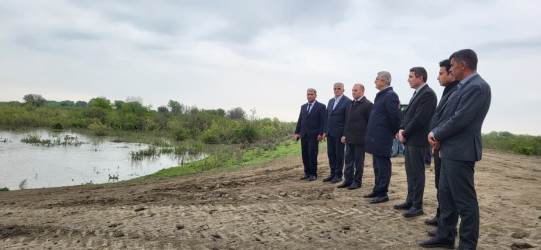 Kür çayında suyun qalxması İmişlinin bəzi kəndlərində əkin sahələrinə təsir göstərib