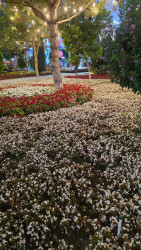 İmişli nümayəndə heyəti Özbəkistanda rəsmi səfərdə olub