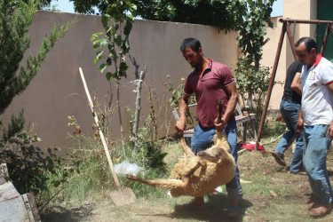 İmişlidə Qurban bayramı münasibəti ilə bayram sovqatları paylanılıb