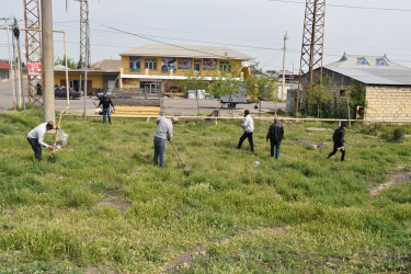 İmişlidə növbəti iməclik 03.05.2025-ci il tarixdə baş tutub