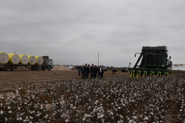 İcra Başçısı pambıq sahələrinə baxış keçirib