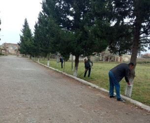 İmişlidə “Yaşıl dünya naminə həmrəylik ili”nə həsr olunmuş növbəti iməclik aksiyası keçirilib