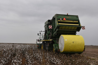 İcra Başçısı pambıq sahələrinə baxış keçirib