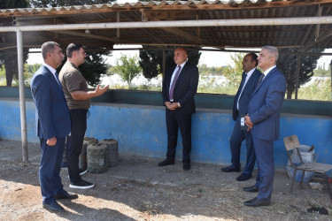 İmişlidə 17-18.09.2026-cı il tarixlərində Dövlət Proqramının icrasına həsr olunmuş tədbir keçirilib