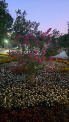 İmişli nümayəndə heyəti Özbəkistanda rəsmi səfərdə olub