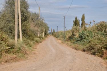 İmişli rayonunun Xəlfəli kəndində şəhid ailələri yaşayan kənddaxili yollar asfaltlanıb