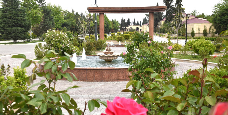 İmişlidə Heydər Əliyev adına istirahət parkında aparılan yenidənqurma işləri yekunlaşdırılıb