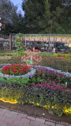 İmişli nümayəndə heyəti Özbəkistanda rəsmi səfərdə olub