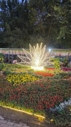 İmişli nümayəndə heyəti Özbəkistanda rəsmi səfərdə olub