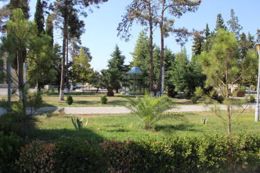 İmişlinin müasir parkları və yaşıllıq sahələri