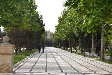 İmişlinin müasir parkları və yaşıllıq sahələri